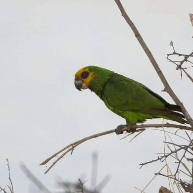 Abdulahinasir Profile Picture