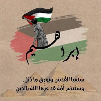 ابراهيم فؤاد Profile Picture