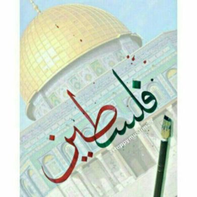 Ibnu reshid Profile Picture