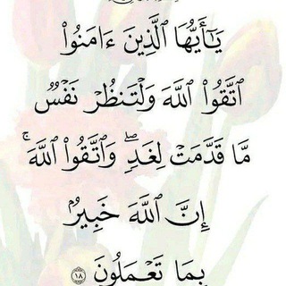 Telegram: Contact @httsibnutemamAbumahi114