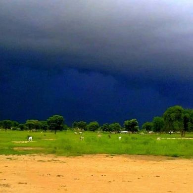 ام زبير محمد Profile Picture