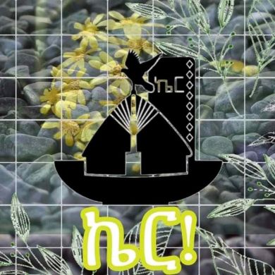 Mubarek Awell Profile Picture