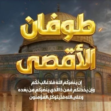 منار ممدوح Profile Picture