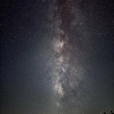 علي بن رجب Profile Picture