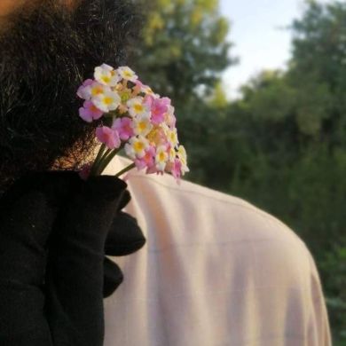 NS_JM Profile Picture