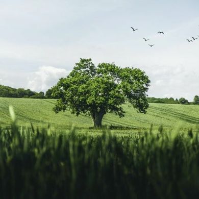 Нурмухаммад Исамиддинов Profile Picture