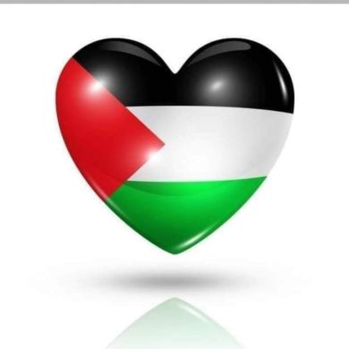 narimen jerbi Profile Picture