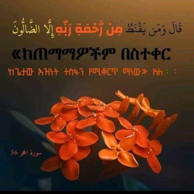 أبو فوزان Profile Picture