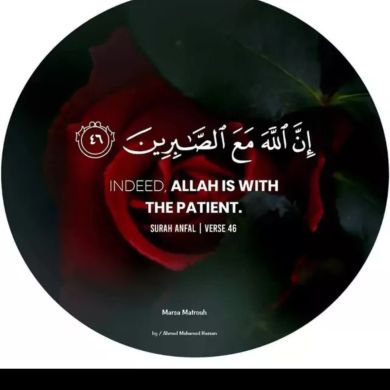 zebu Ramato Profile Picture