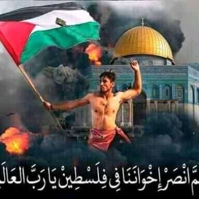 seid ibnu mussa Profile Picture