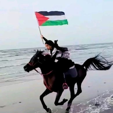 Selahudin Shifa Profile Picture