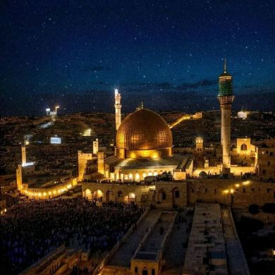 Zubi 1412 Profile Picture