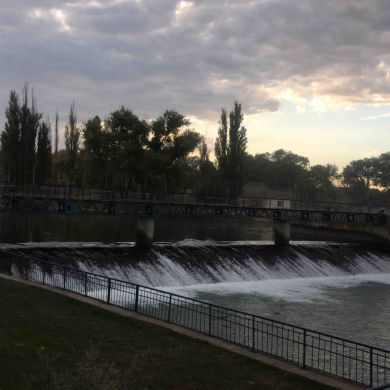 Ali Magomedov Profile Picture