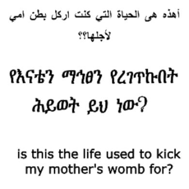 umma1698050672 Profile Picture