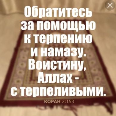 Динислам Юнусов Profile Picture