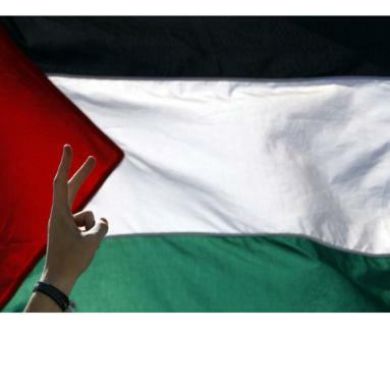 oeil de lyinx Profile Picture