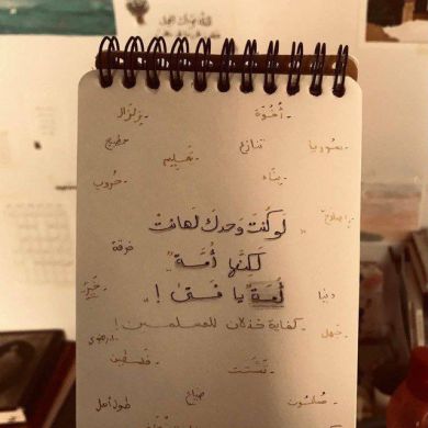 نور أحمد الشيخ