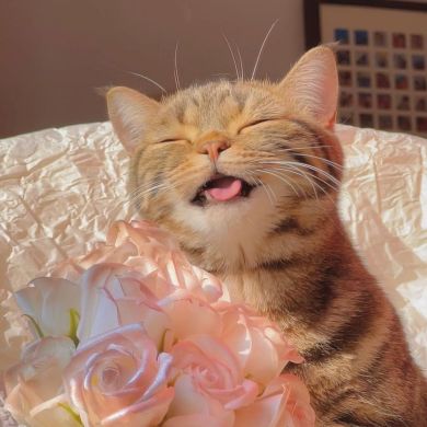 tw7664 Profile Picture