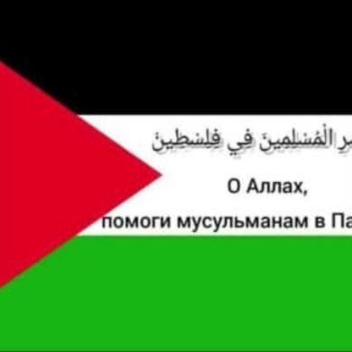 хабиб Магомедов