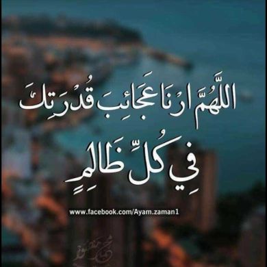 Mebruka Nurbenur Profile Picture