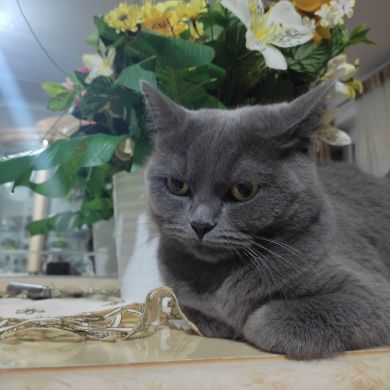 Obarg21 Nohcho Profile Picture