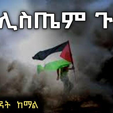 mursela nasir Profile Picture