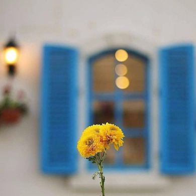 طارق أبو تسنيم