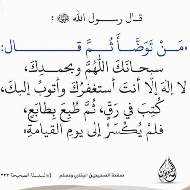 محمد عامر بوشرادة Profile Picture