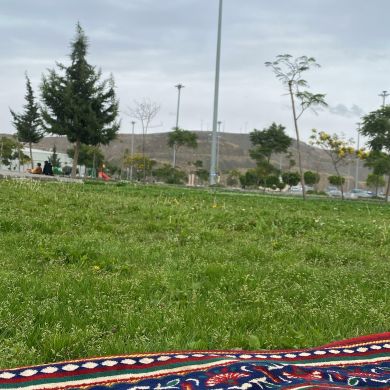 إبراهيم الهلالي