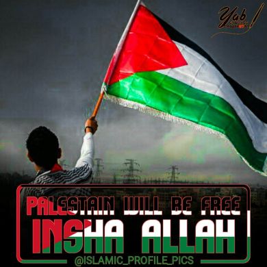 jena_boy1 Profile Picture