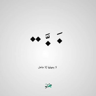 محمد العثامنة