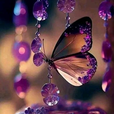 فاطمة فاطمة