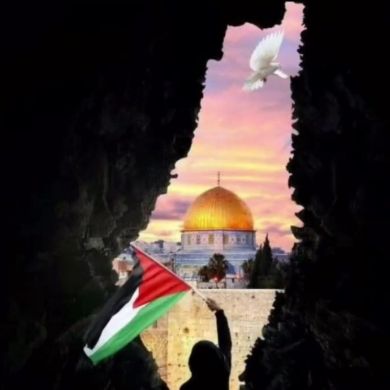 Айнура Шахбазова Profile Picture