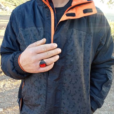 فريد الحيوني