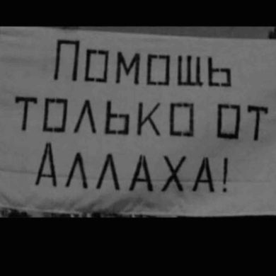 Borz . Profile Picture