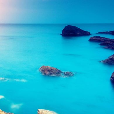 محسن الفؤاد ابو فؤاد