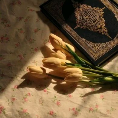 baraden hassen Profile Picture