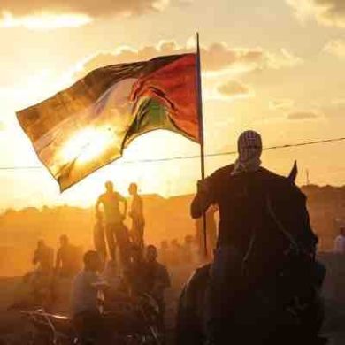 el_ingushi Profile Picture