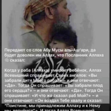 Ахмед Насруллаев Profile Picture