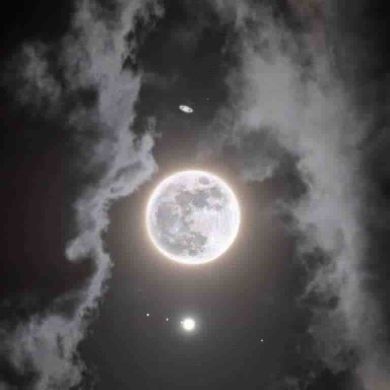 الرِيـمٌ أم يُوسفٌ Profile Picture