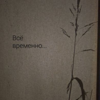 Amin ShekhSaid Profile Picture