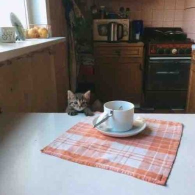 لُجّي | استغفروا