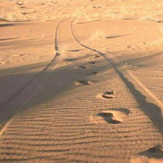 Telegram: Contact @selefs_footstep