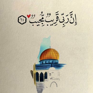 habiba magdy Profile Picture