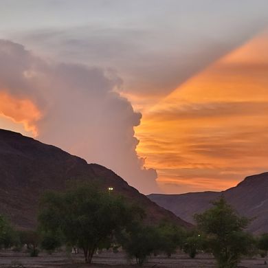 محمد أبو عبد الله