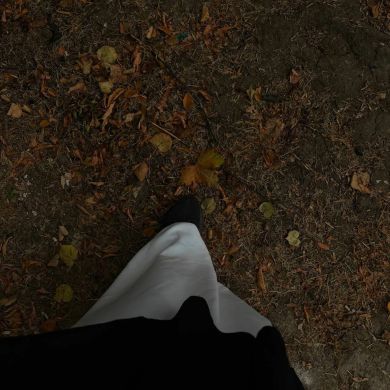 تاءبة تاءبة Profile Picture