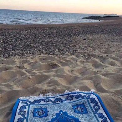 Abdulbasit Wabela Profile Picture