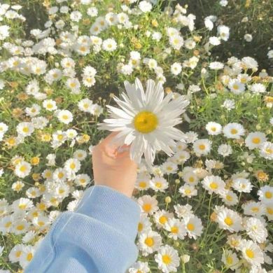 شهد إبراهيم Profile Picture