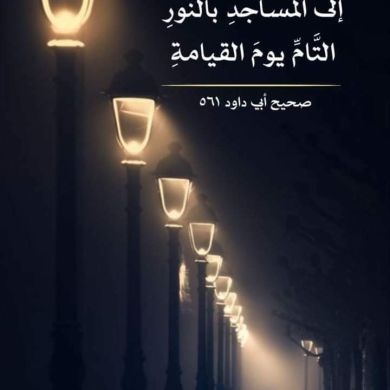 محمد فوزي Profile Picture