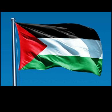 Ali-Dagestani5 Profile Picture